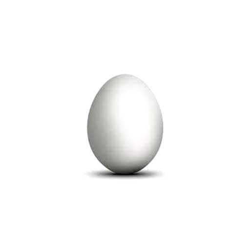 Eggs Forms (Per Egg)